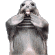 :excitedseal: