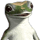 :geicogecko: