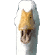 :goose: