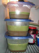 fullycongealed.jpg