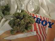 Romulan_Diesel.jpg