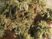 Romulan_Diesel_3.jpg