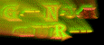 554625-1234.gif