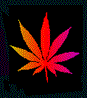 874306289-burnit.gif