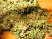 OG_004.jpg