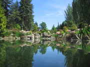 IMG_2632.sized.jpg