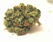 strawberry_cough.jpg