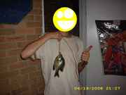 fish.jpg