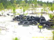 DSCI0069.jpg