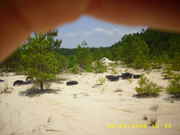 DSCI0070.jpg
