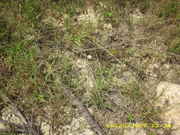 DSCI0072.jpg