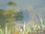 DSCI0147.jpg