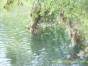 DSCI0149.jpg