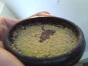 IMG00023.jpg