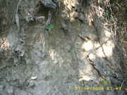 DSCI0021.jpg