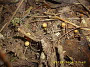 DSCI0026.jpg