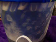 bubleher_002.jpg