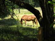 DSCN0074.jpg