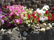 DSCN0071.jpg