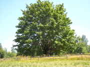 DSCN0065.jpg