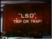 LSD_Trip_Or_Trap.gif
