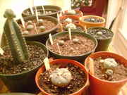 DSC01024.jpg