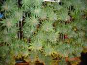 DSC04192.jpg