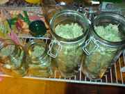 DSC00232.jpg