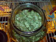 DSC00243.jpg