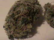 DSC00065.jpg