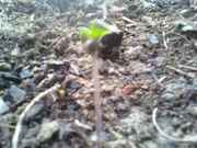 downsized_0526091513.jpg