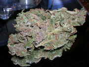 MMMnugs03.jpg