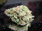 mmmNugs19.jpg