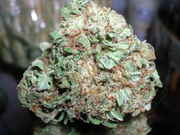 mmmNugs52.jpg