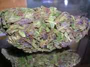 mmmNugs40.jpg