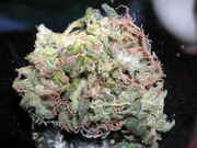 OragnicSourDiesel.jpg