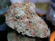 mmmNugs46.jpg