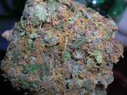 MMMnugs49.jpg