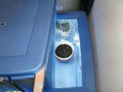 5-29-09_017.jpg