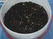 5-29-09_018.jpg