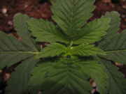 june-8-09_007.jpg