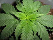 june-15-09_009.jpg
