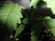june-15-09_011.jpg
