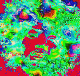 h5.gif