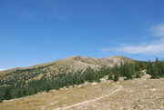 DSC_0075.jpg