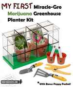 My_first_marijuana_greenhouse.jpg