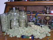 Jars_of_weed.jpg