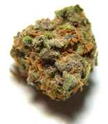 nug.jpg