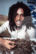 Bob_with_a_bunch_of_purple_weed.jpg