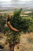 Nude_girl_holding_bush_of_pot.jpg